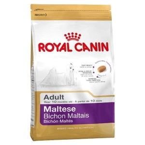 Royal-Canin-Maltese-24-Adult