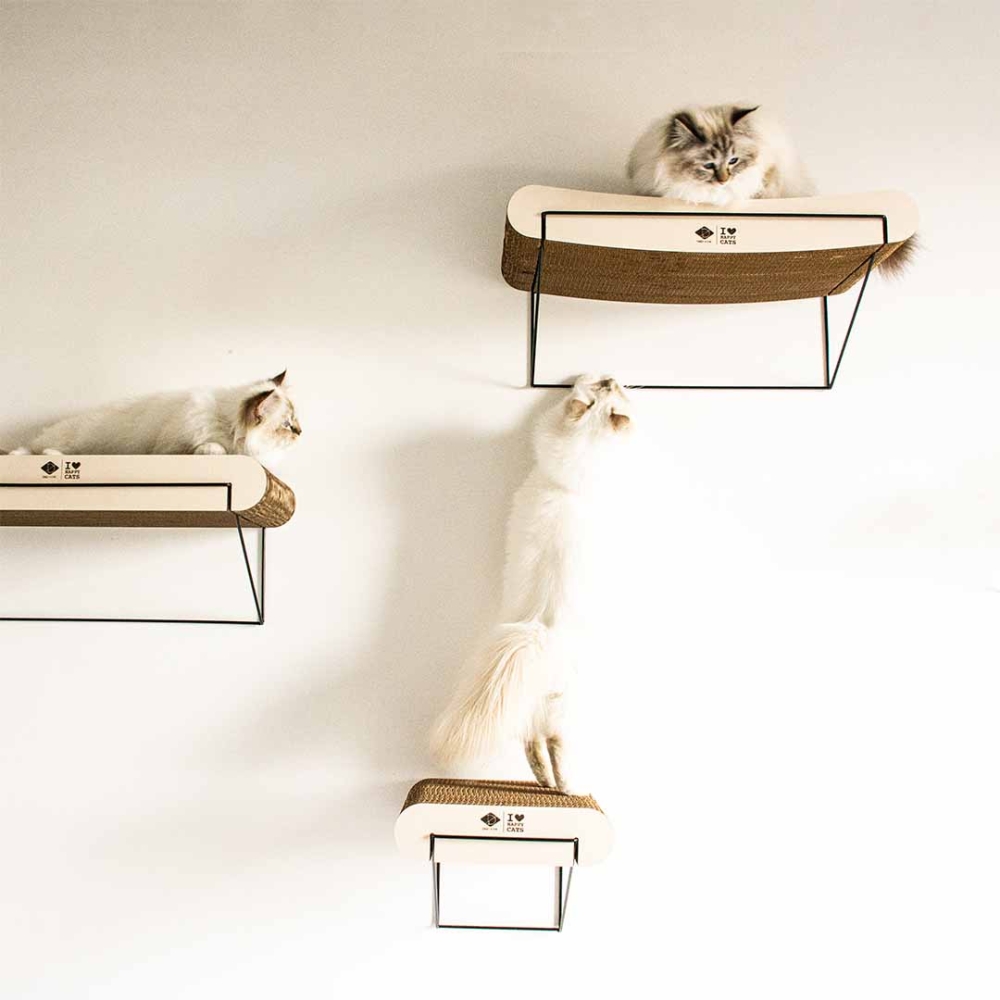 Bild 1 von D&D gebogenes Wandregal aus Pappe David - braun/beige