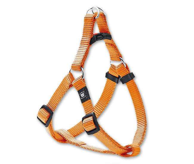 Bild 1 von Karlie ASP Step&Go Geschirr - Orange  / (Variante) 25 mm, 72-110 cm