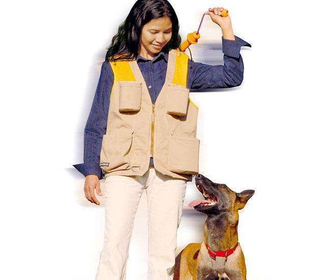 Bild 1 von Karlie LIND-ART Dog Sport Vest Trainingsweste