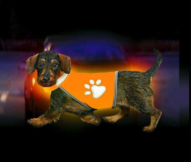 Bild 1 von Karlie SAFETY-DOG Sicherheitsweste - Orange