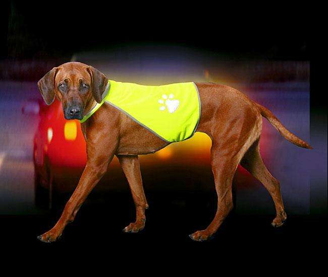 Bild 1 von Karlie SAFETY-DOG Sicherheitsweste - Gelb