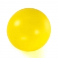 Bild 1 von PROCYON Treibball  / (Variante) PROCYON Treibball Gelb