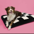 Bild 2 von Coockoo Hundekissen Cozy Block