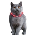 Bild 3 von Karlie Visio Light Cat LED-Schlauch mit USB - Orange