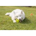 Bild 2 von Trixie Wabenrugby aus TPE - 11cm