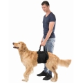 Bild 2 von Trixie Hebehilfe für Hunde  / (Variante) L-XL / 75-90 cm