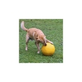 Bild 3 von Kerbl Hundespielball Ø 30cm
