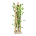 Bild 4 von Aqua Della Bambusornament  / (Variante) M 10,5x8,5x19cm