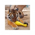 Bild 3 von Tuggo Shake N Fetch - Medium - von Tigern getestet!  / (Variante) Pink