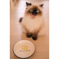 Bild 2 von Duvoplus Katzennapf Stone Feed Me Meow