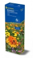 Kiepenkerl Profi-Line Blumenmischung Blütenteppich