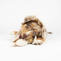 Bild 4 von D&D Hundespielzeug Jule - sand  / (Variante) 52x10x10cm