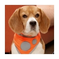 Bild 2 von Karlie Safety Dog Sicherheitshalstuch - Orange