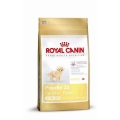 Royal Canin Pudel Junior