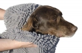 Bild 3 von Doggy Dry Towel Hundehandtuch