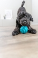 Bild 3 von Trixie Super Strong Ball