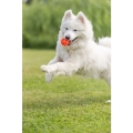 Bild 2 von Trixie Wabenball aus TPE - 6cm