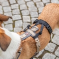 Bild 8 von Trixie Panik-Adapter Stay für Geschirre  / (Variante) L–XL/59–92 cm