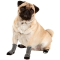 Bild 5 von Karlie Doggy Socks Hundesocken 4er Set - Schwarz/Grau  / (Variante) L