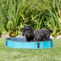 Bild 8 von Trixie Hundepool - petrol/grau