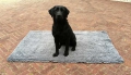 Bild 1 von Doggy Dry Doormat Hunde-/Türmatte