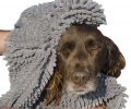 Bild 1 von Doggy Dry Towel Hundehandtuch