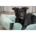 Bild 2 von Trixie Vital Bett Jonna - salbei  / (Variante) 80 × 60 cm