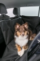 Bild 1 von Trixie Auto-Schondecke mit Seitenteilen, teilbar