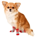 Bild 4 von Karlie Doggy Socks Hundesocken 4er Set - Rot/Grau