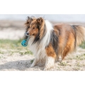 Bild 2 von Trixie Wabenball am Seil aus TPE