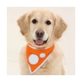Bild 1 von Karlie Safety Dog Sicherheitshalstuch - Orange