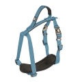 Bild 1 von Duvoplus EXPLOR North Geschirr - Petrolblau  / (Variante) 50-65cm/20mm