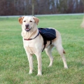 Trixie Rucksack für Hunde