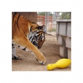 Bild 5 von Tuggo Shake N Fetch - Medium - von Tigern getestet!  / (Variante) Pink