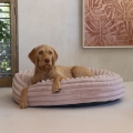 Bild 2 von Designed by Lotte Hundebett Reza - rund, rosa  / (Variante) 95 x 20 cm