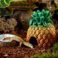 Bild 3 von Exo Terra Tiki Ananas-Versteck