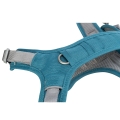 Bild 2 von Trixie Premium Active Geschirr - petrol  / (Variante) 60–75 cm/25 mm